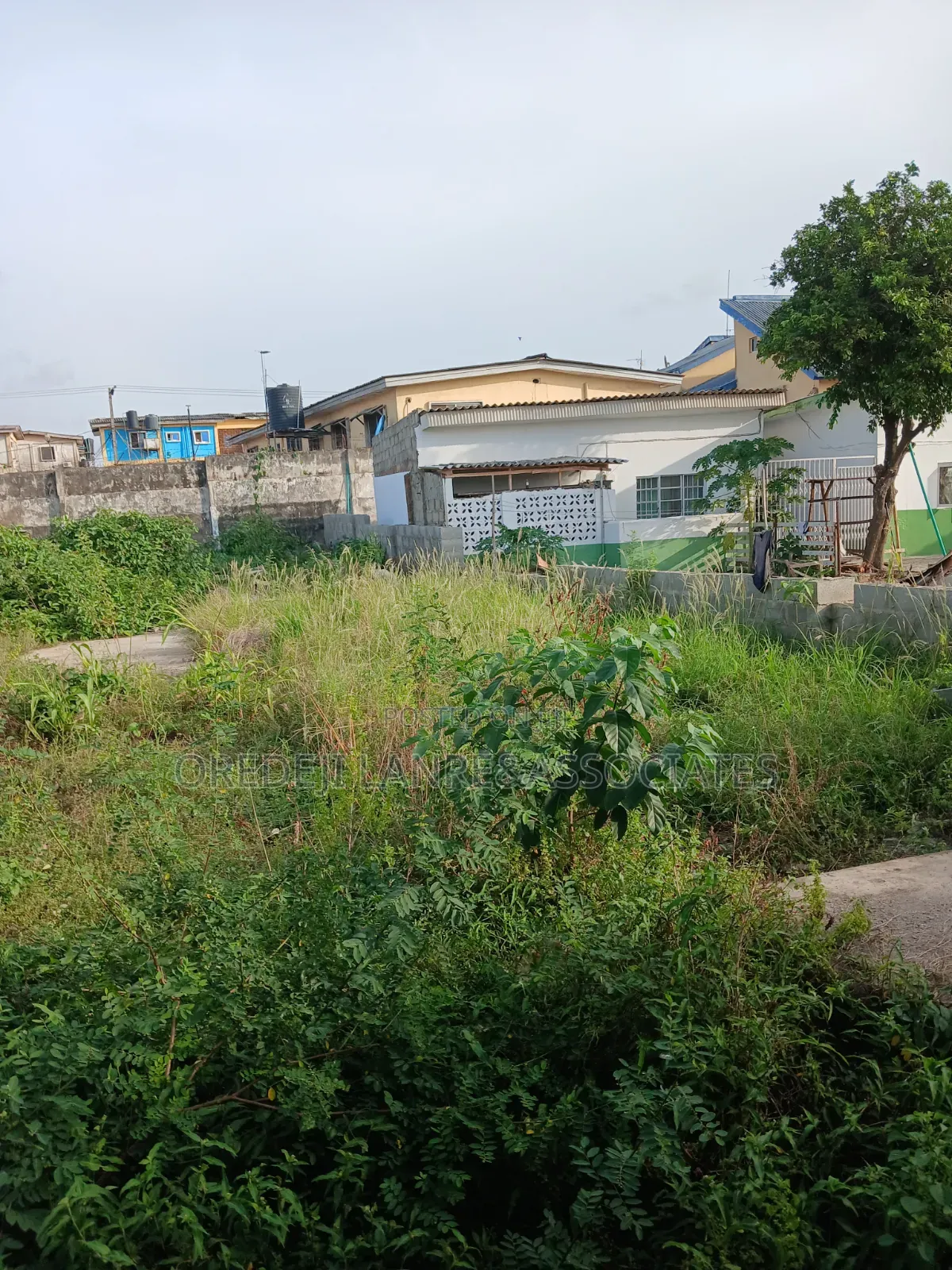 A Standard Half Plots in the Heart of Ogba.