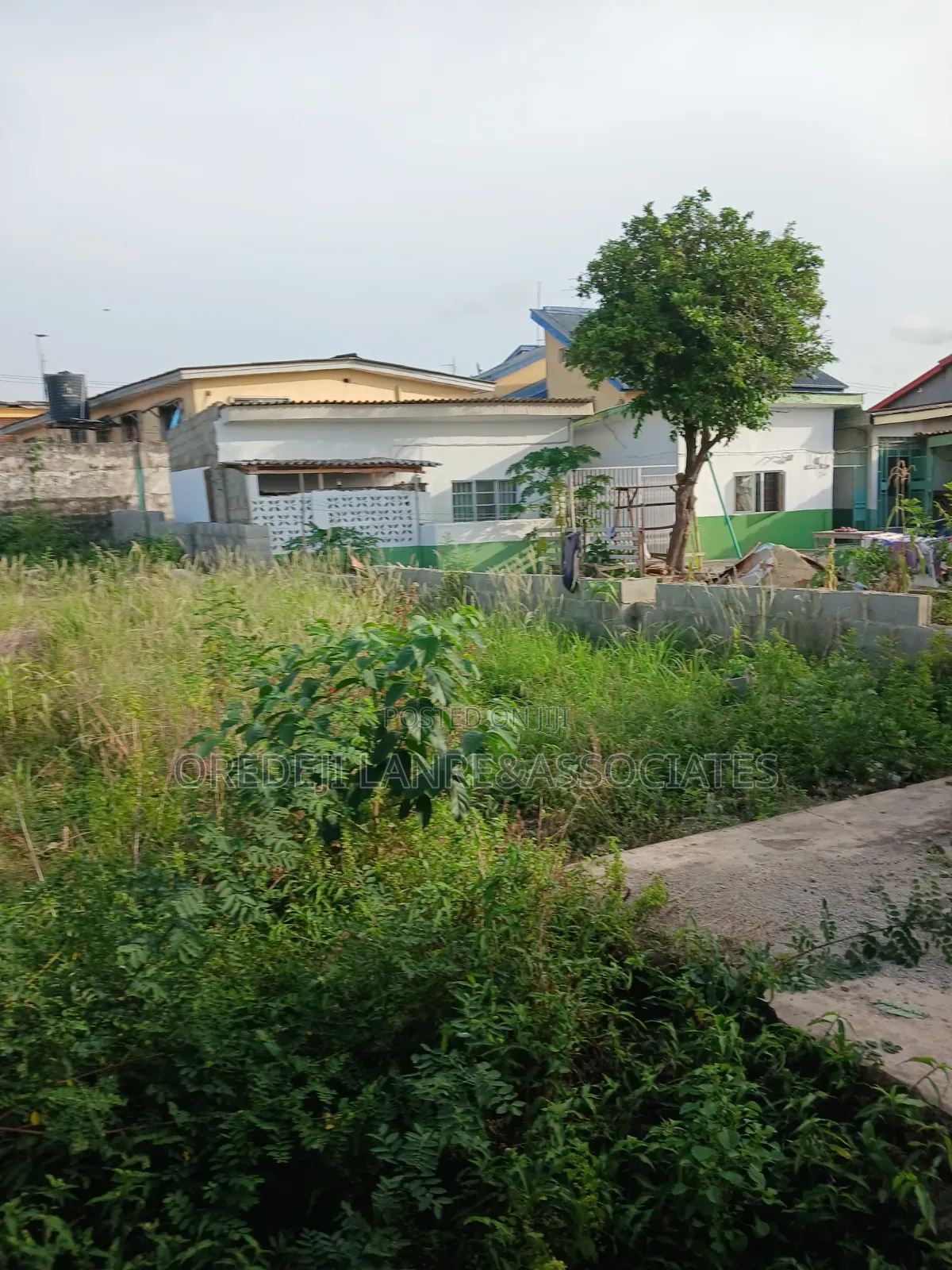 A Standard Half Plots in the Heart of Ogba.