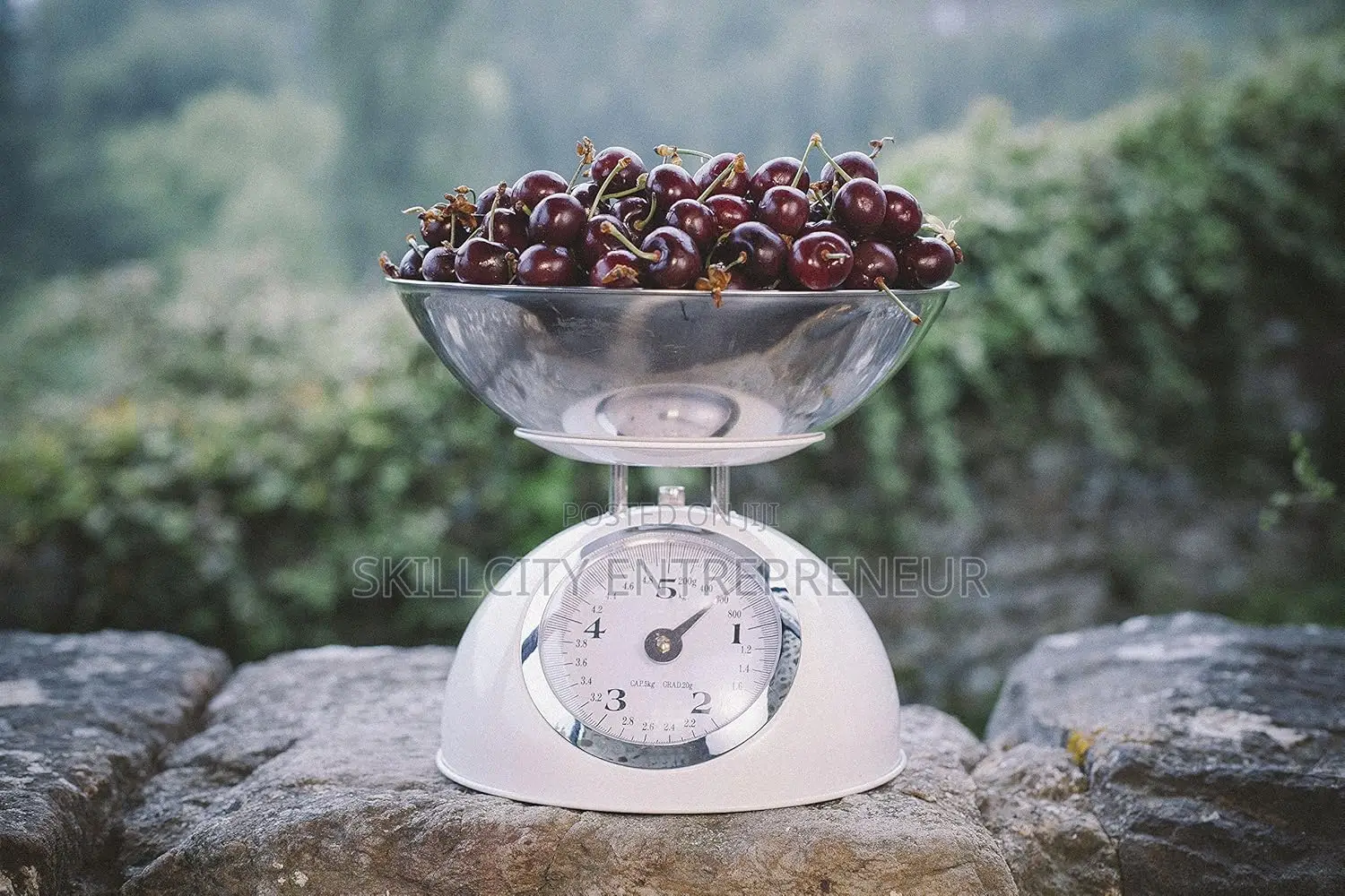 Kitchen Scales Analogue