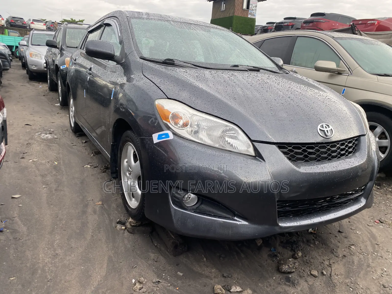 Toyota Matrix Hatchback FWD (1.8L 4cyl 5M) 2010 Gray