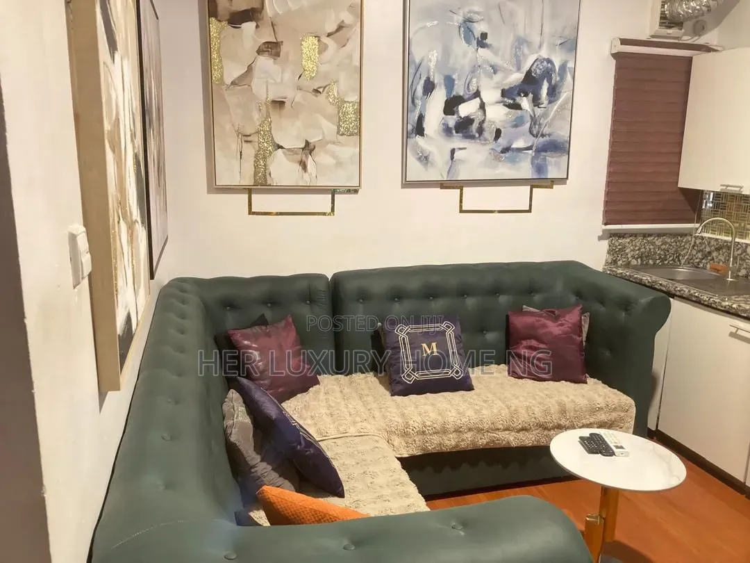Furnished Mini Flat in Lekki Phase One for rent
