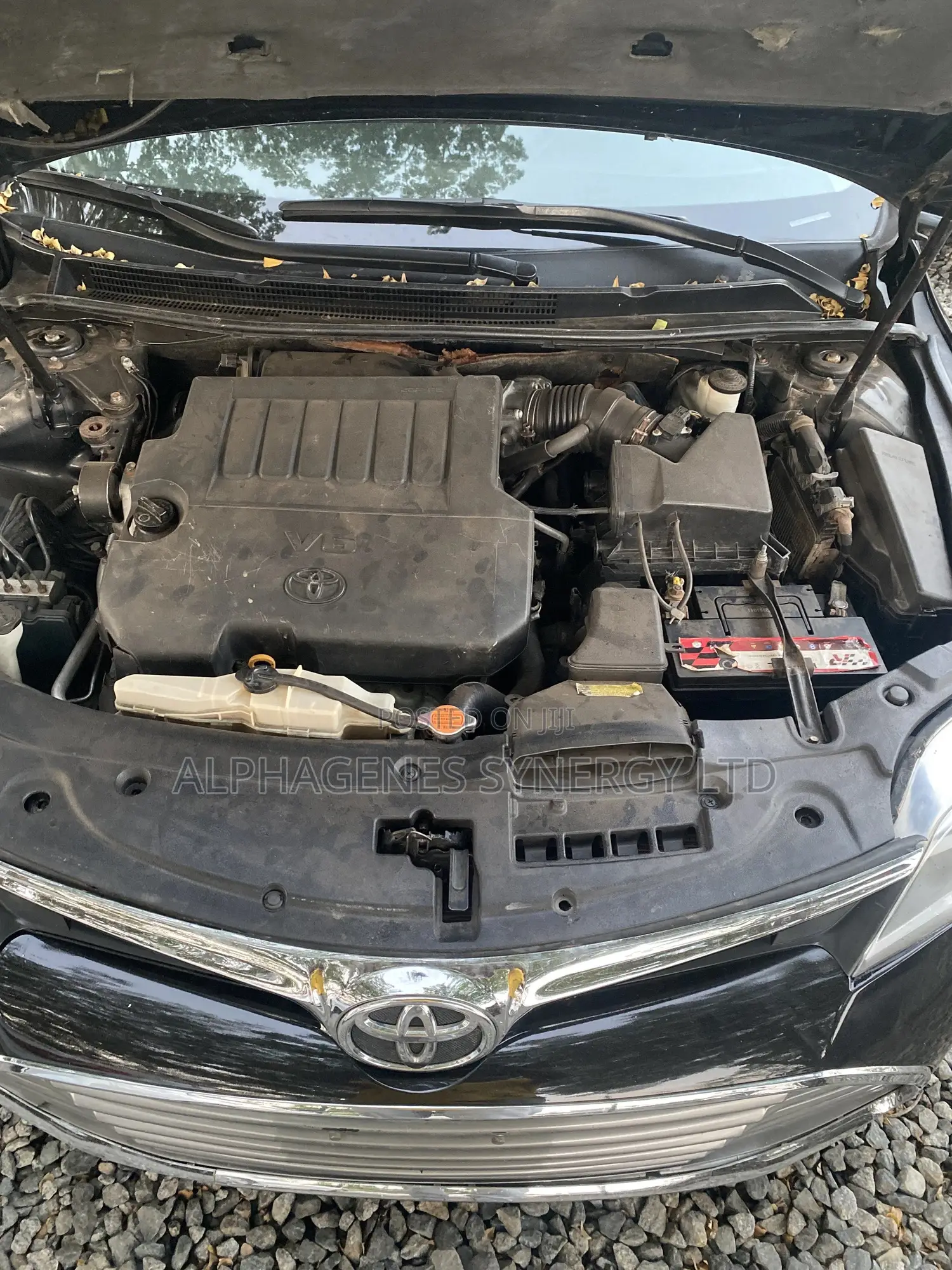 Toyota Avalon 2013 Black