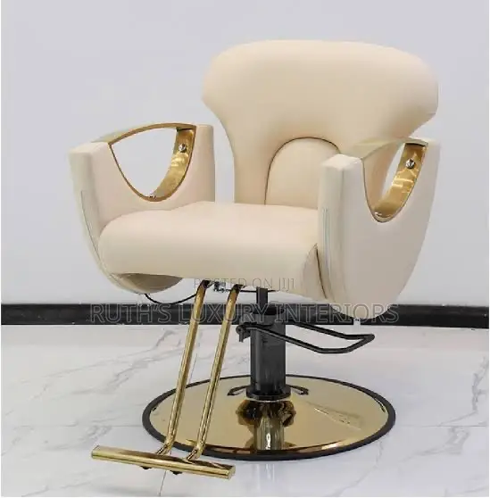 Luxurious Salon Chair Available in Different Colors and Designs