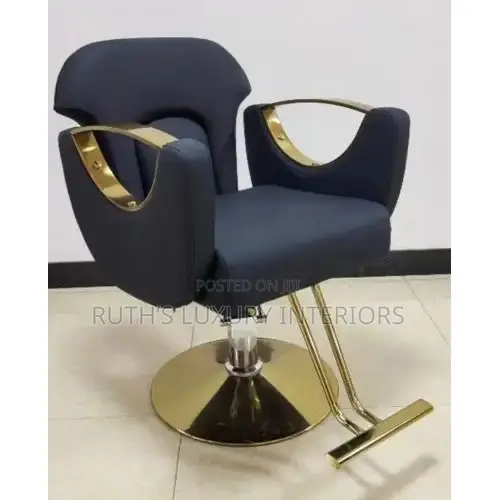 Luxurious Salon Chair Available in Different Colors and Designs