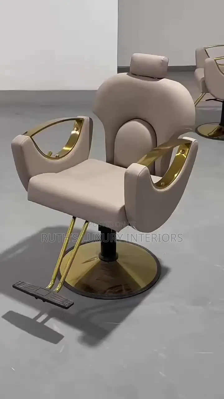 Luxurious Salon Chair Available in Different Colors and Designs