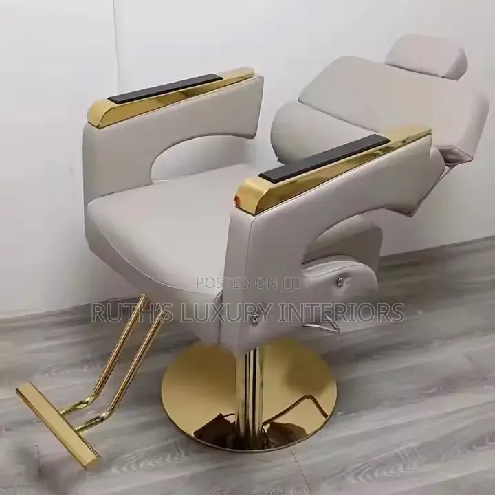 Luxurious Salon Chair Available in Different Colors and Designs
