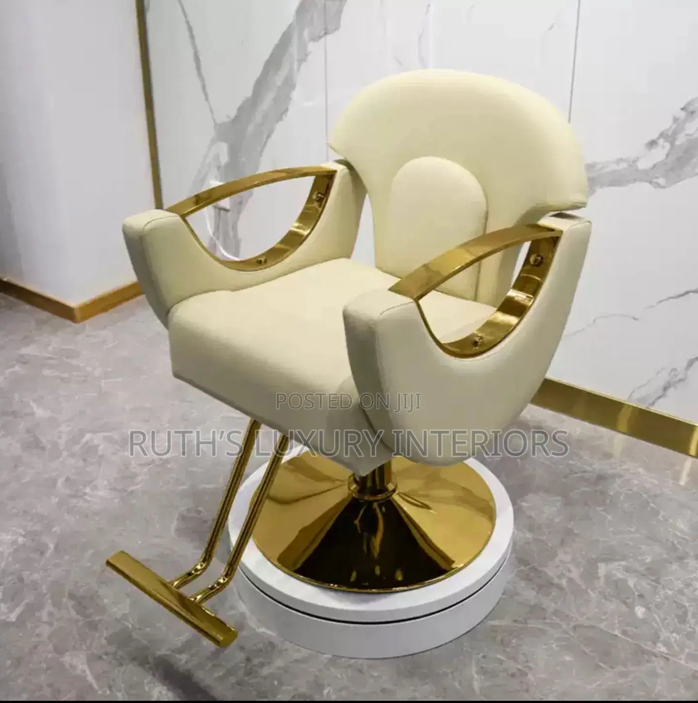 Luxurious Salon Chair Available in Different Colors and Designs