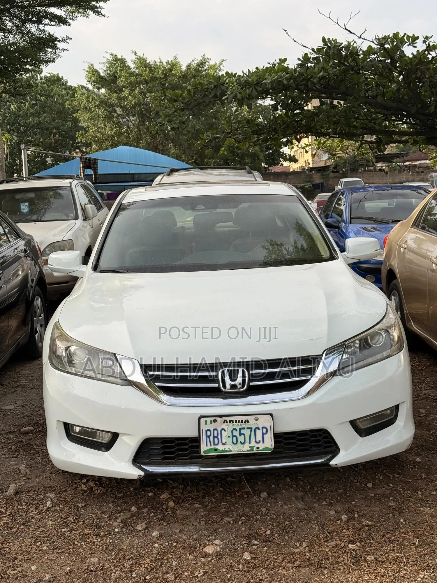 Honda Accord EX-L V-6 4dr Sedan FWD (3.5L 6cyl 6A) 2013 White
