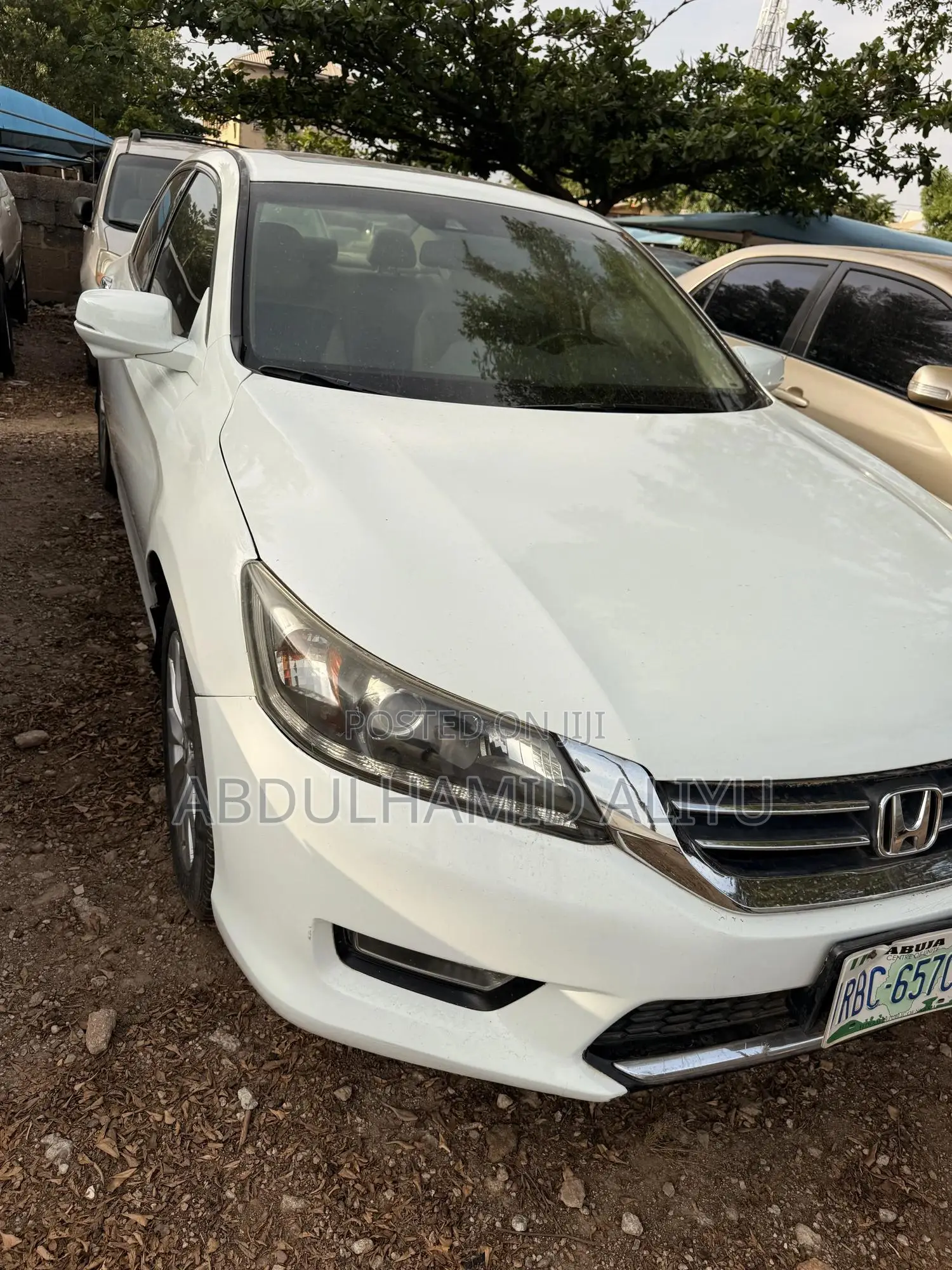 Honda Accord EX-L V-6 4dr Sedan FWD (3.5L 6cyl 6A) 2013 White