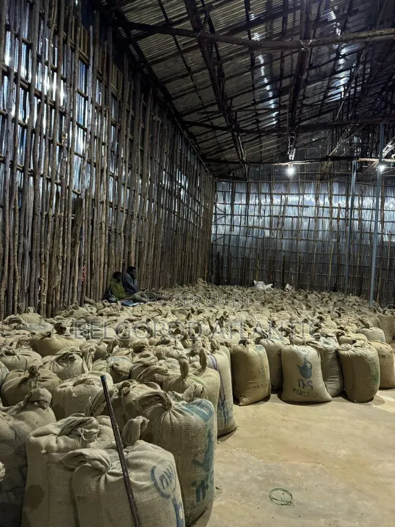 Arabica and Robusta Coffee