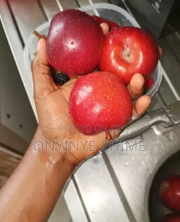 Red Apple Seedlings