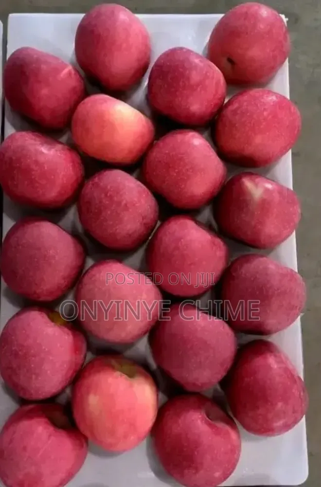 Fuji Apple Seedlings