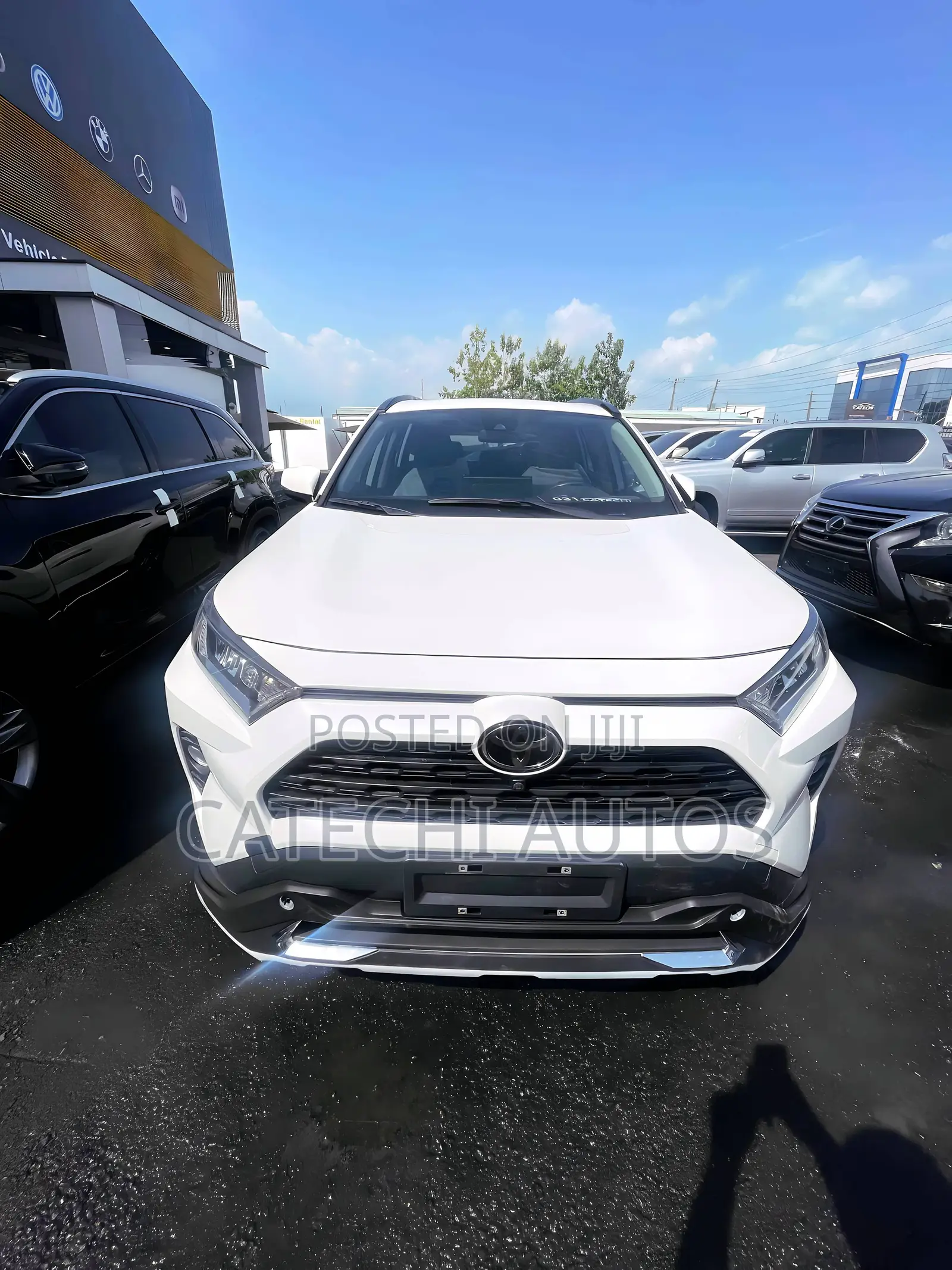Toyota RAV4 Adventure 2021 White
