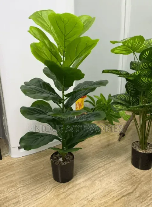 Green Plant Flower Home Decor