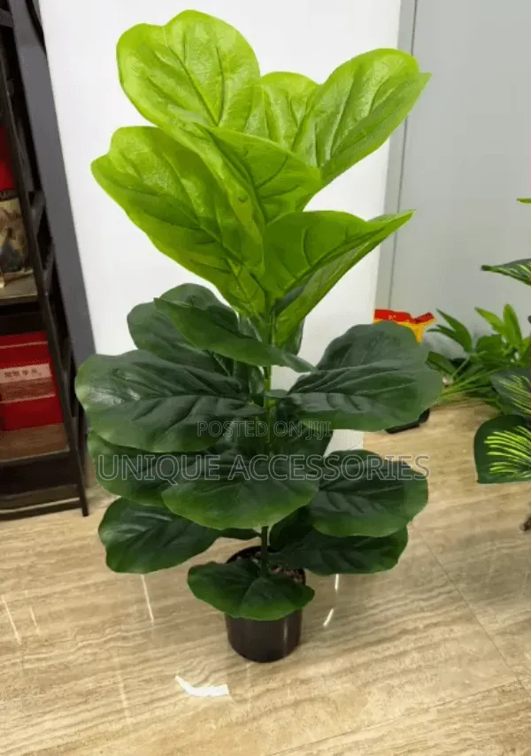 Green Plant Flower Home Decor