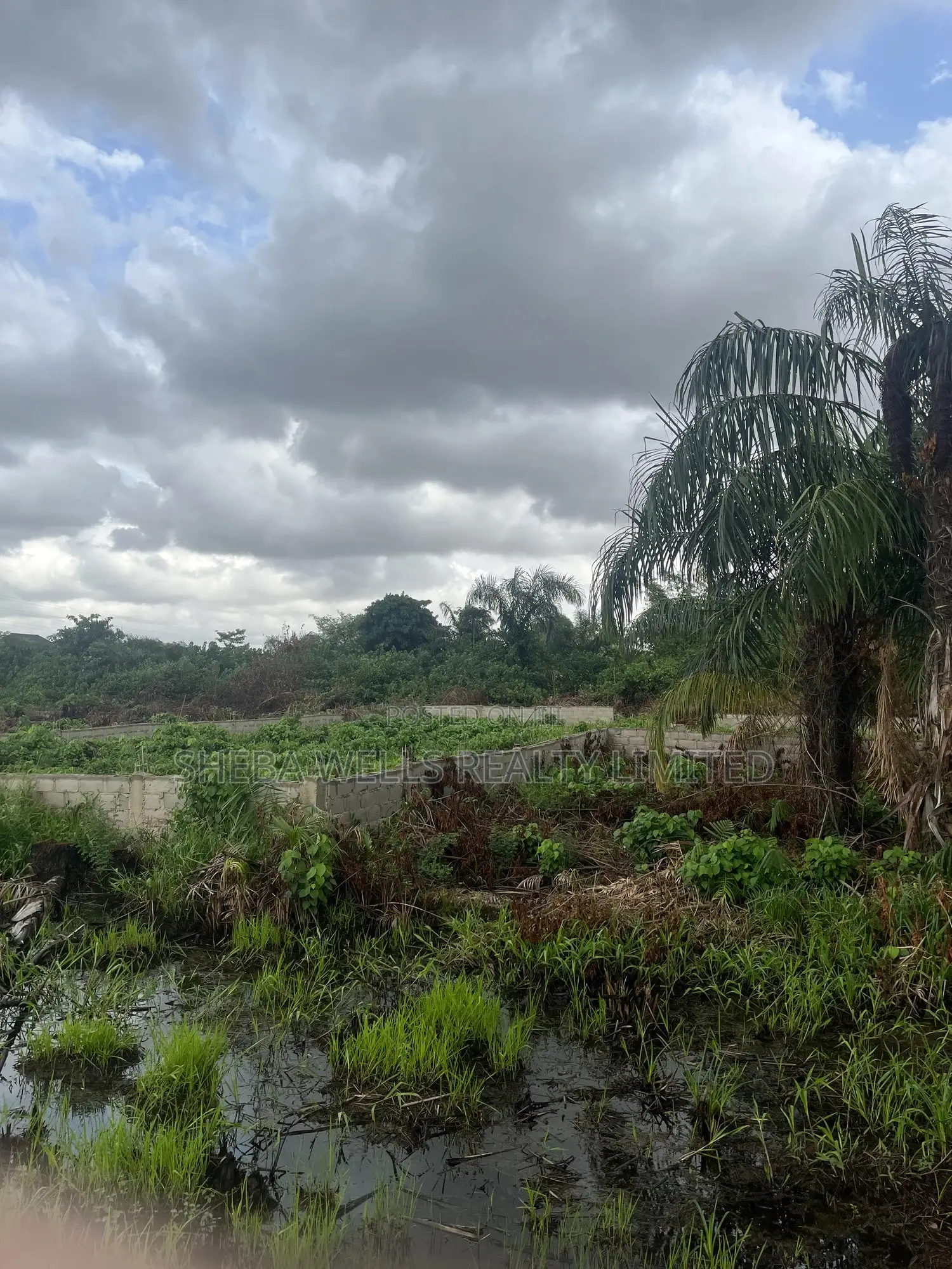 3 Plots of Land for Sale