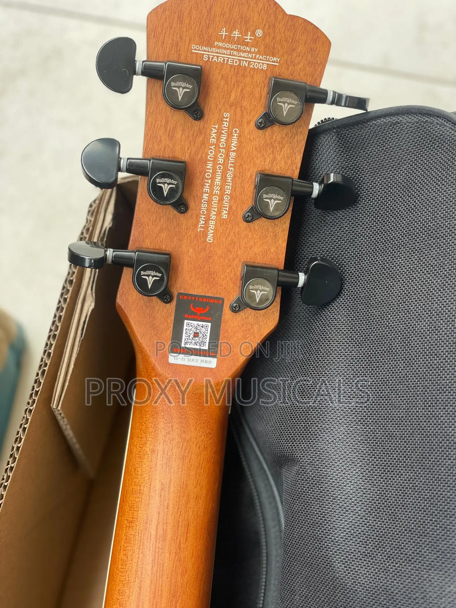 Bullfighter Electroacoustic/Semi Acoustic Guitar