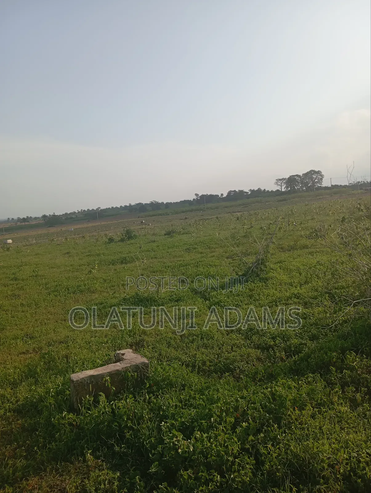 1acre of Land at Agric After Fountain University Osogbo