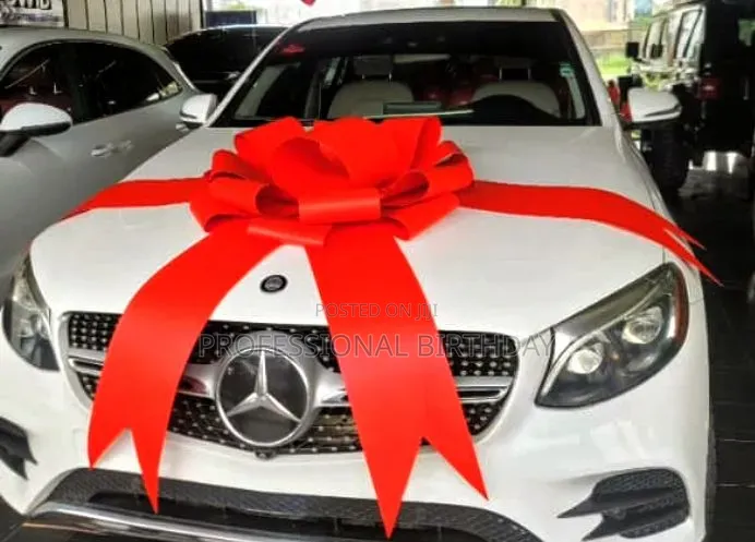 Fabric Car Bow and Big Card Bow