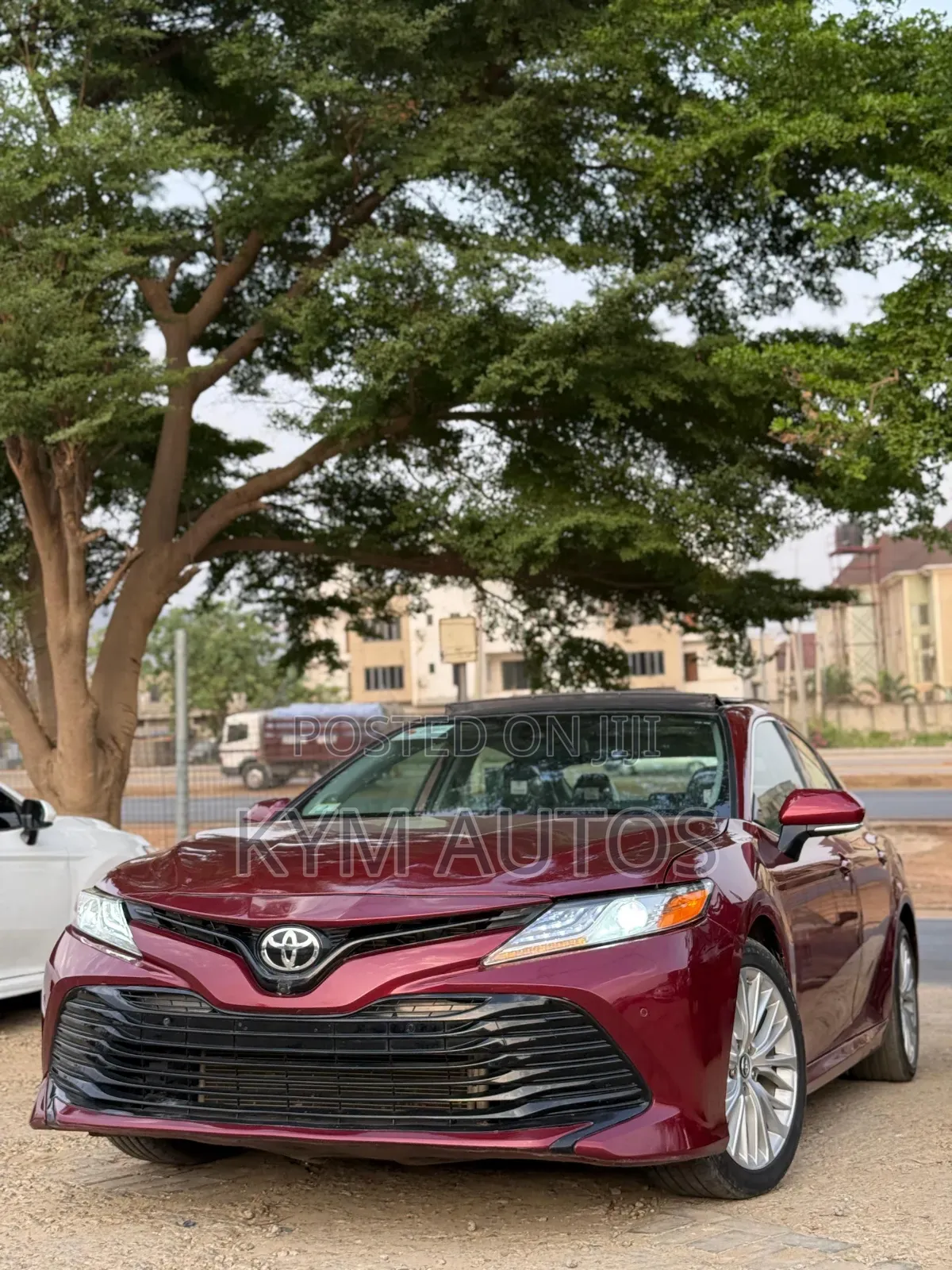 Toyota Camry XLE V6 (3.5L V6 8A) 2019 Burgundy