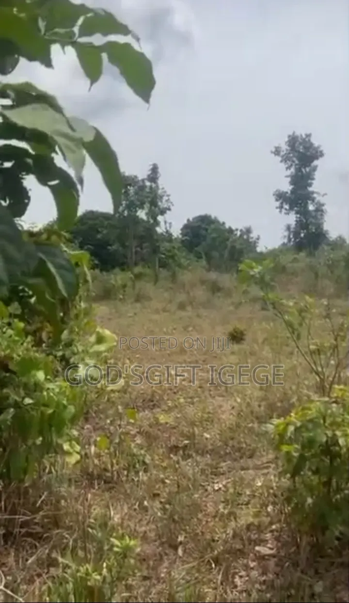 Buy Build Land in Eneka, Fast Developing Area, Flexible Payment Plan