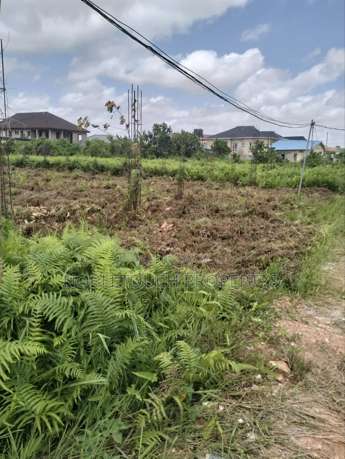 Cheapest Land in Nice Location at Ipaja Lagos