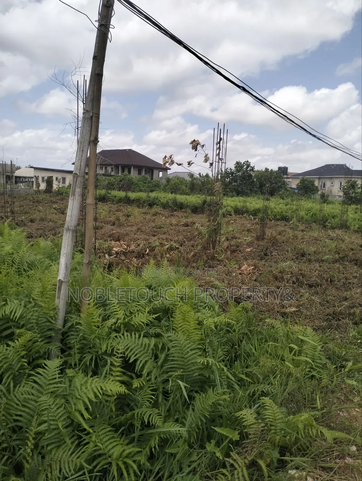 Cheapest Land in Nice Location at Ipaja Lagos