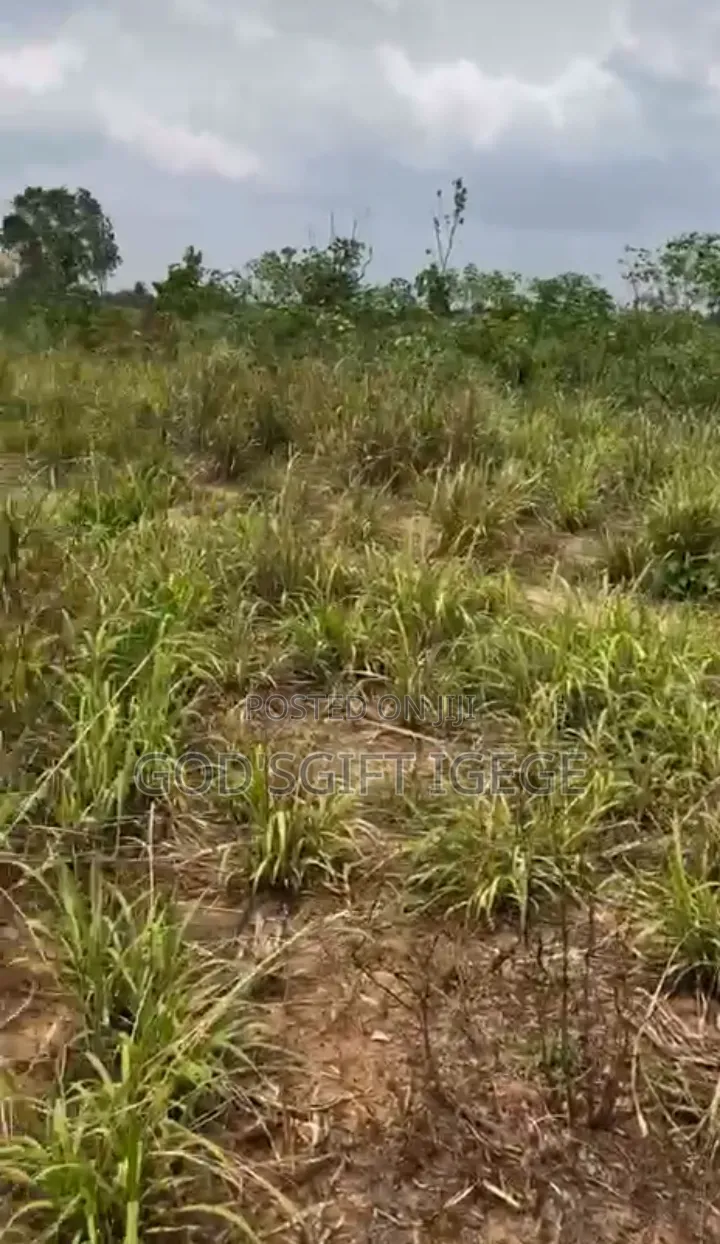 Buy Build Land in Eneka, Fast Developing Area, Flexible Payment Plan
