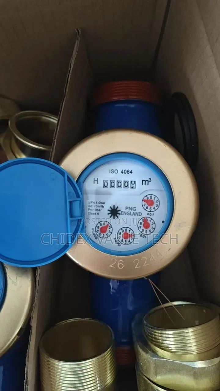 Mechanical Water Flow Meter