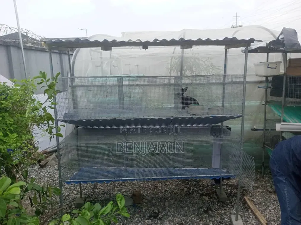 Standard 9 to 10 Rooms Rabbit Cage