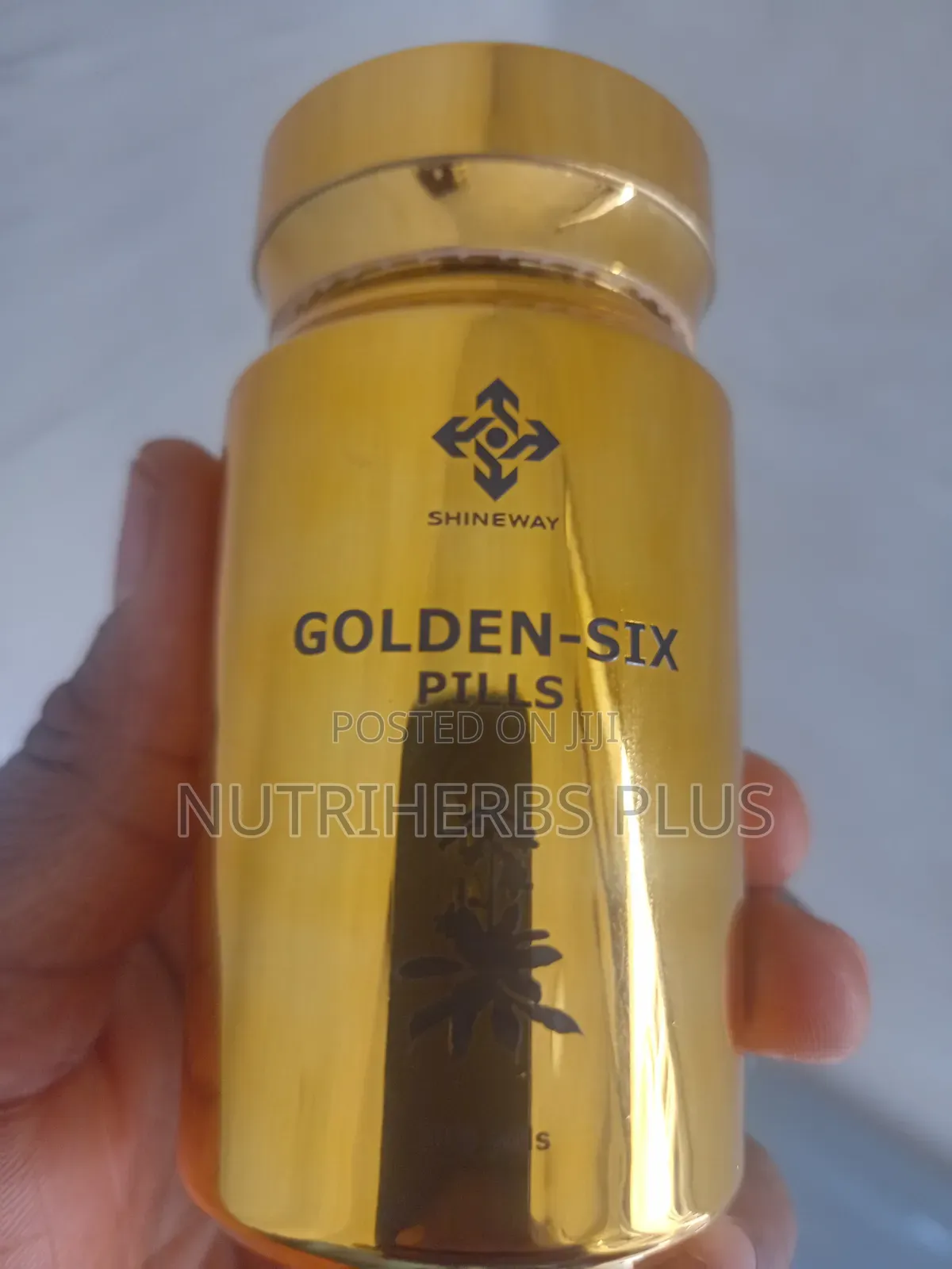 Shinyway Healthcare Golden-Six Pills: Improve Kidney Function
