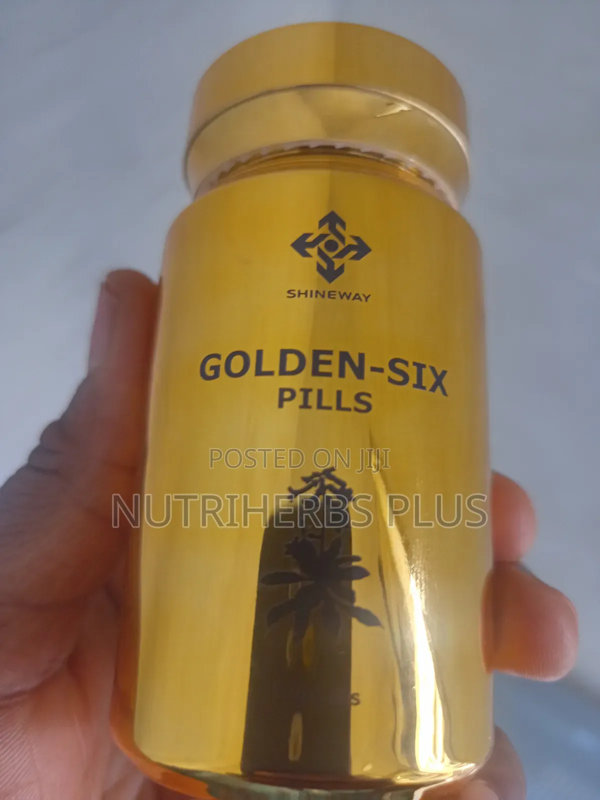 Shinyway Healthcare Golden-Six Pills: Improve Kidney Function
