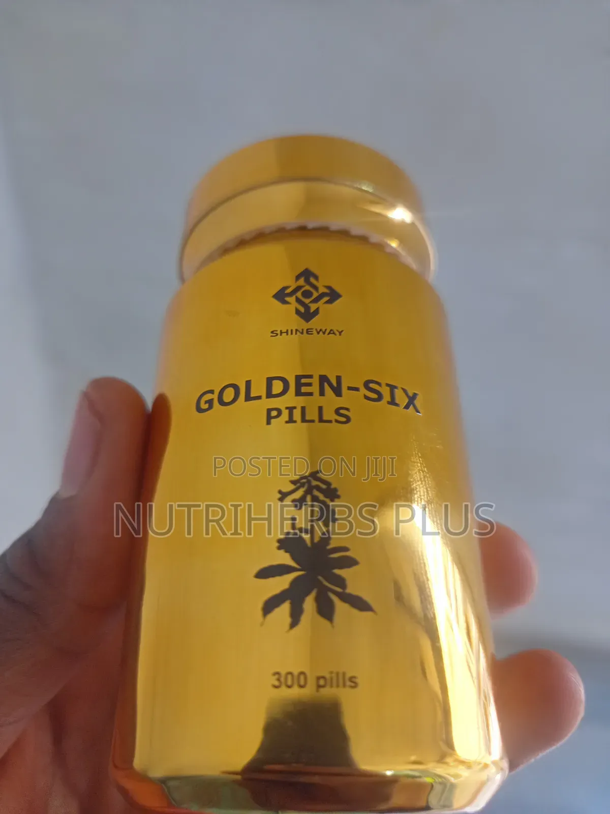 Shinyway Healthcare Golden-Six Pills: Improve Kidney Function
