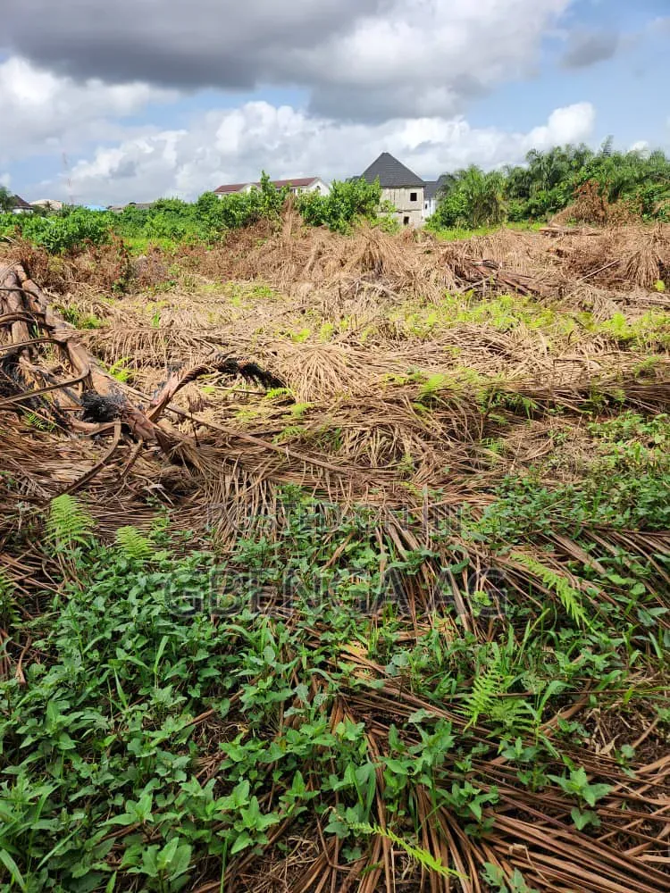 Half Plot of Land for Sale at Isheri Olofin Lagos
