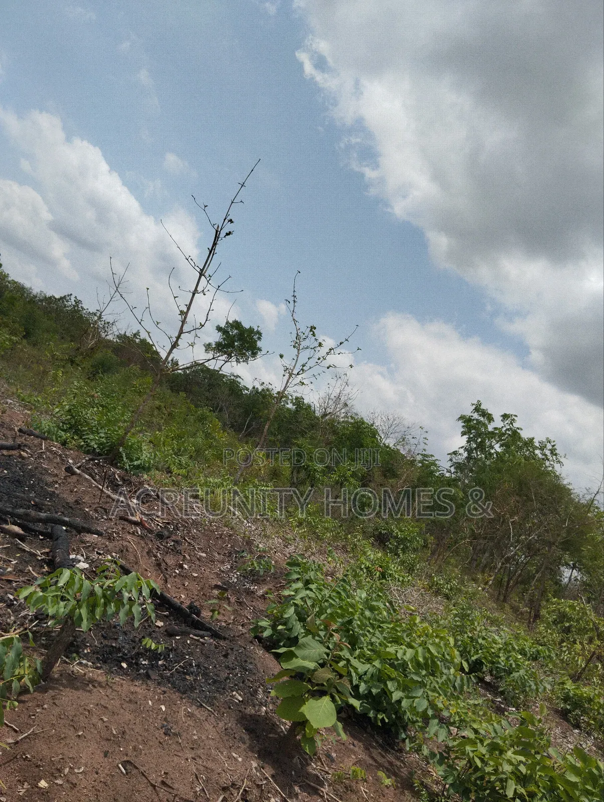 100 Acres of Farmland Available at Sirafu Village, Iseyin, Oyo State