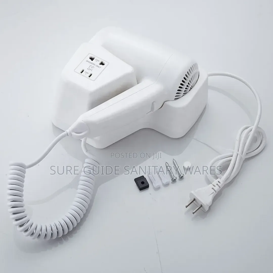Electric Hair Dryer