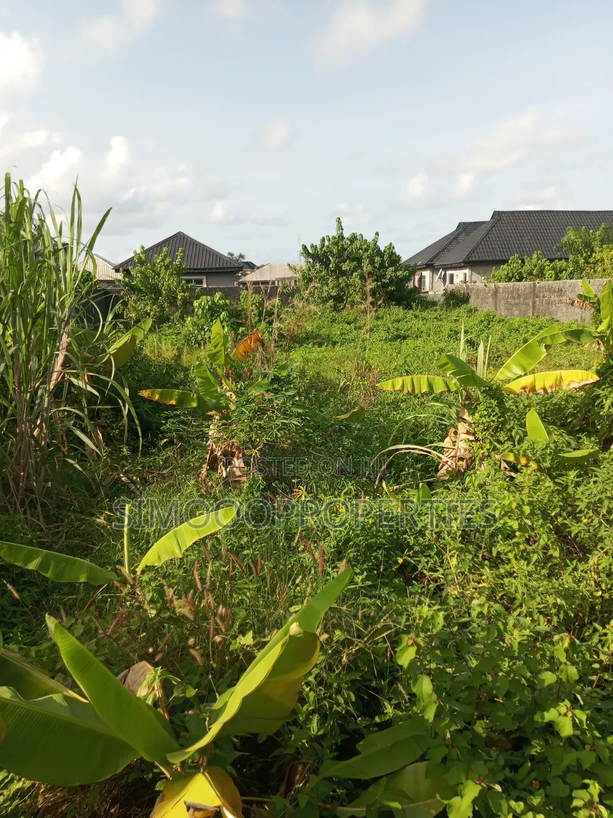 A Plot of Dry, Fenced and Gated Land for Sale at Igando Oloja
