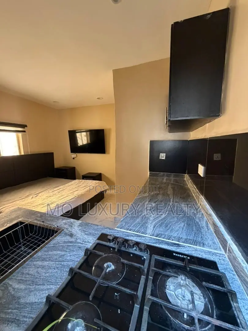 Furnished Studio Apartment in Victoria Island for rent