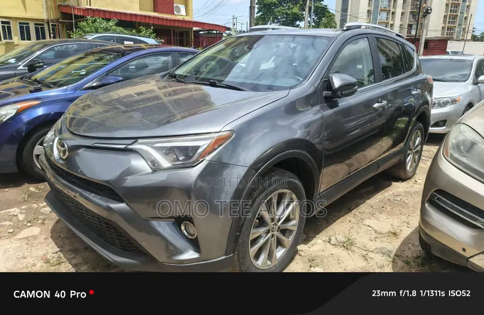 Toyota RAV4 XLE AWD (2.5L 4cyl 6A) 2016 Gray