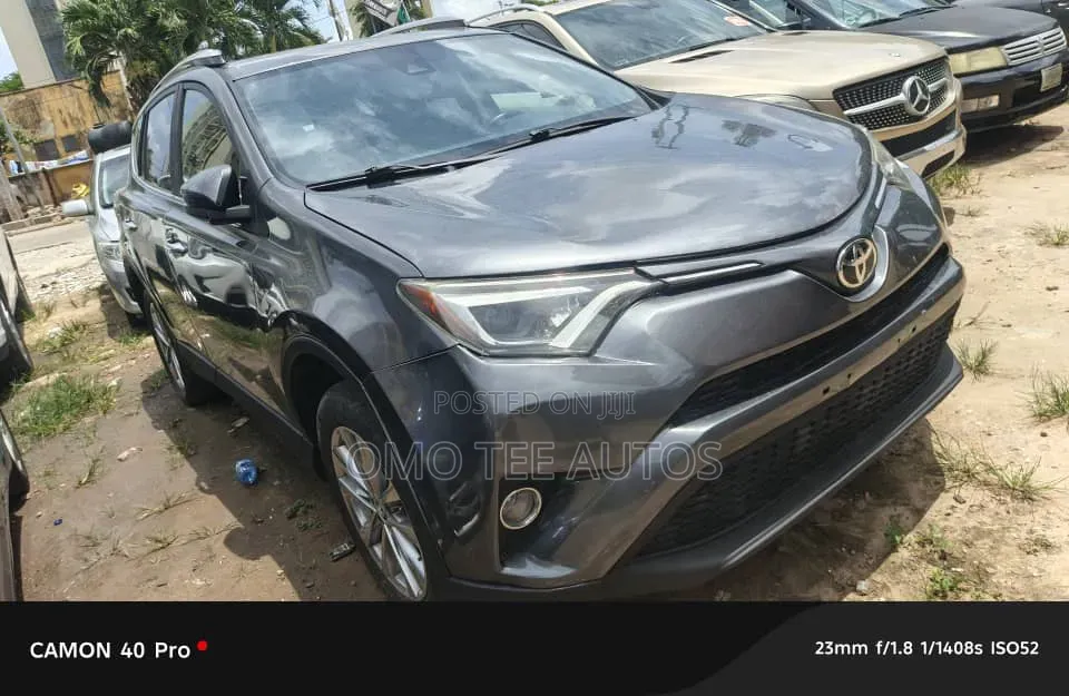 Toyota RAV4 XLE AWD (2.5L 4cyl 6A) 2016 Gray
