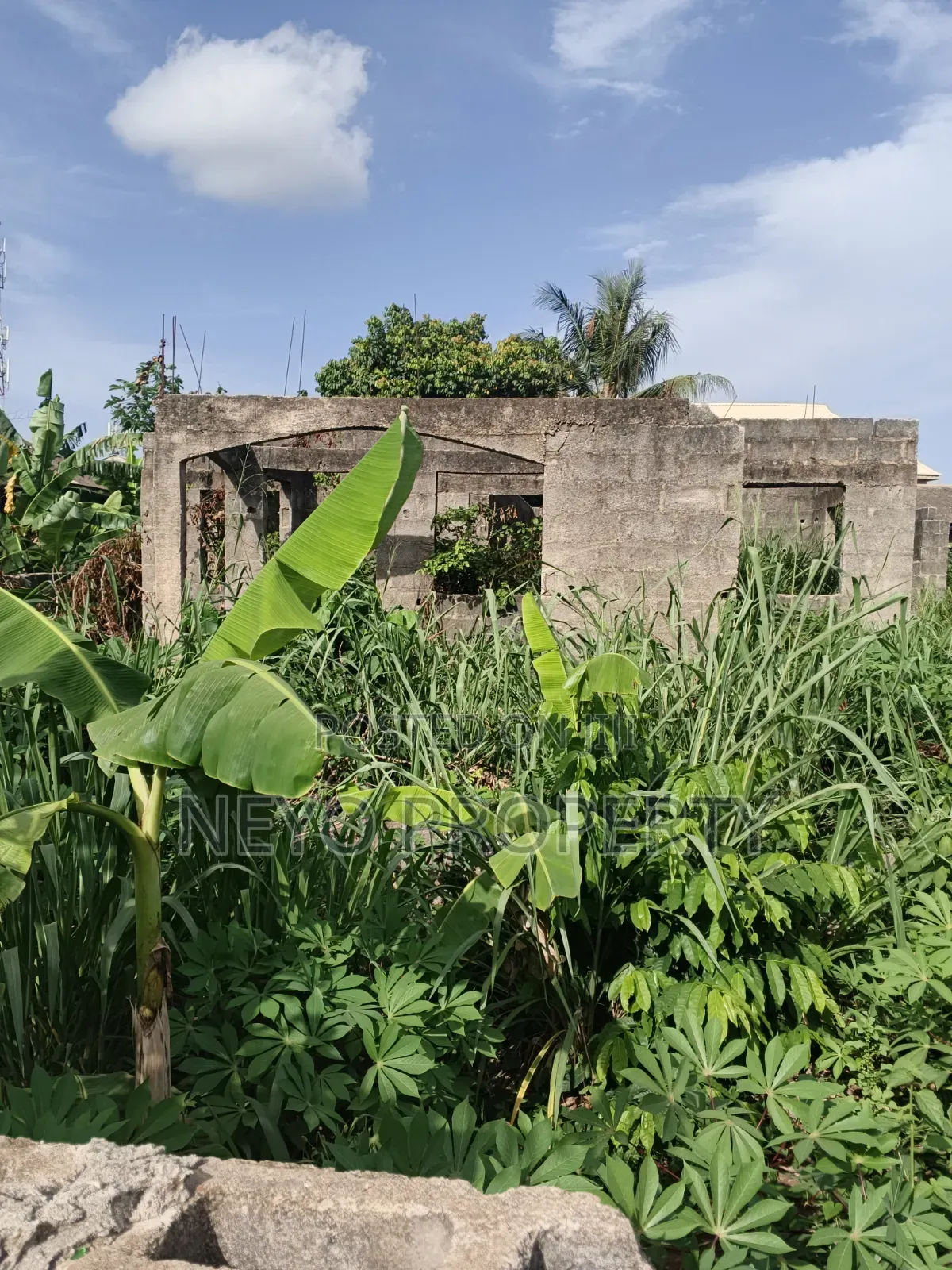 Family Deed Adeshina