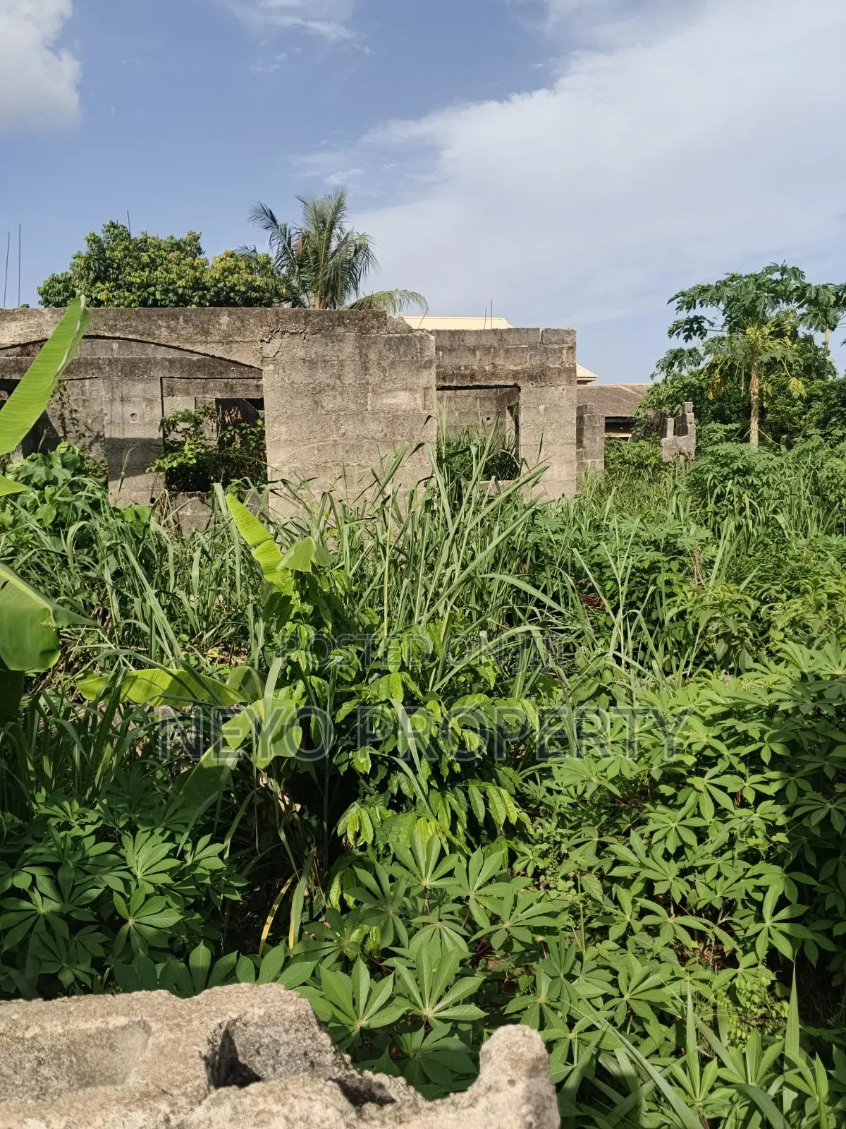 Family Deed Adeshina