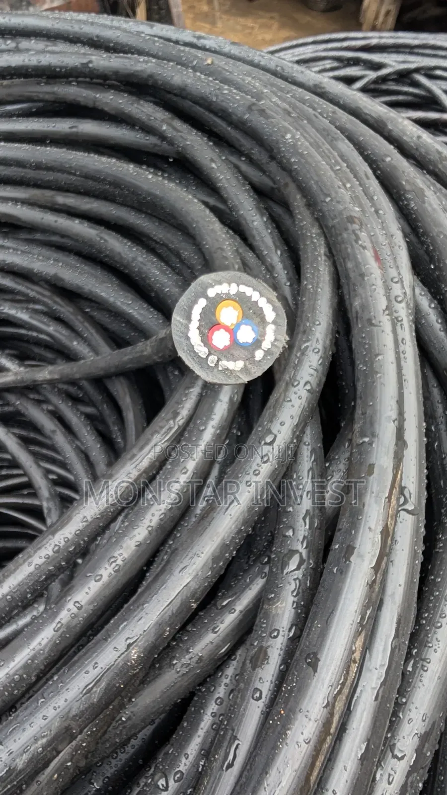 Armored Cable