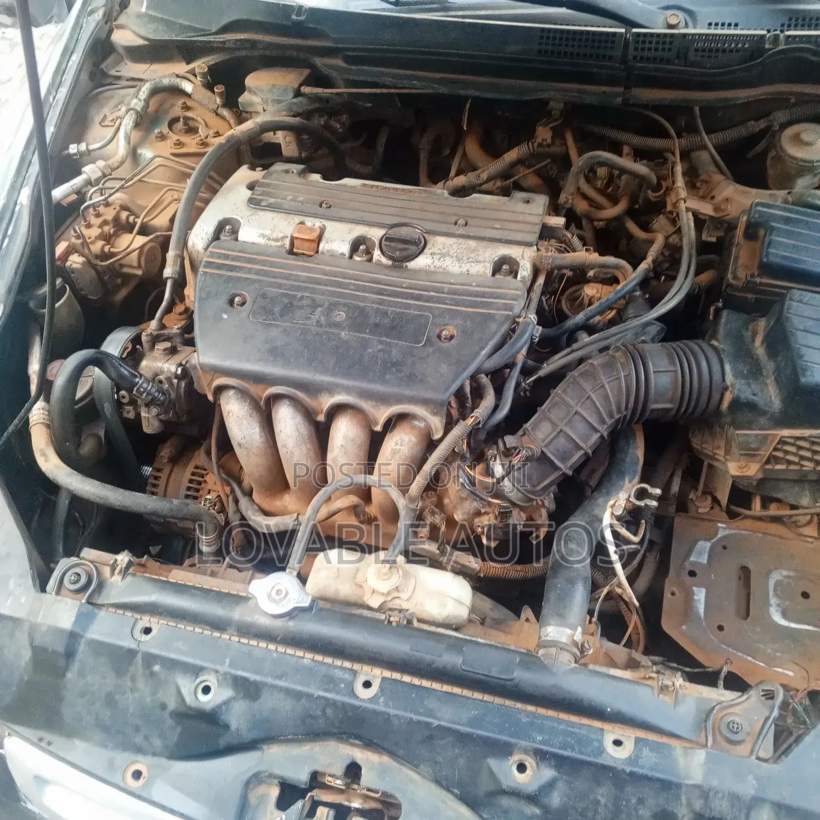 Honda Accord 2003 Green