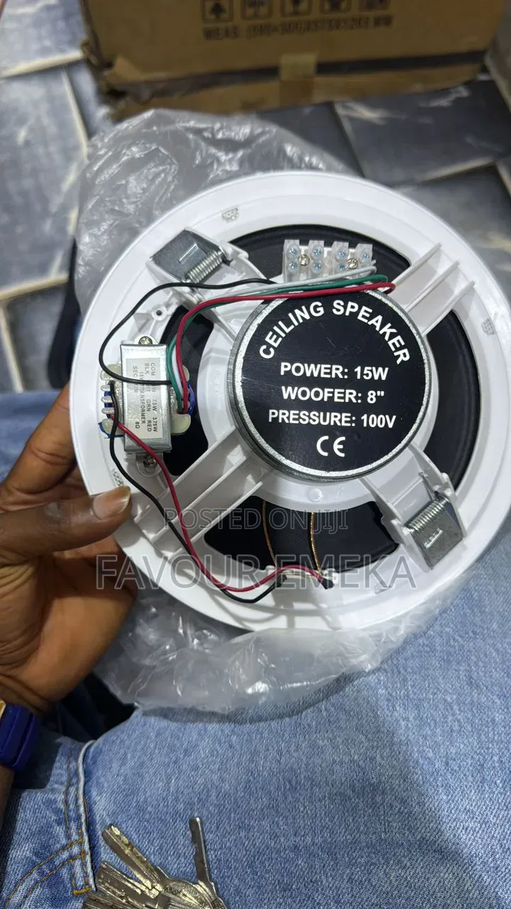 Professional 15 Watts Dart Ceiling Speaker