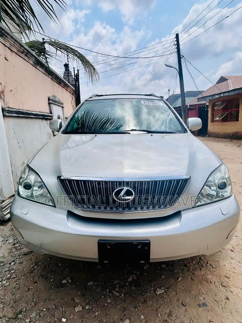 Lexus RX 300 4WD 2004 Gray
