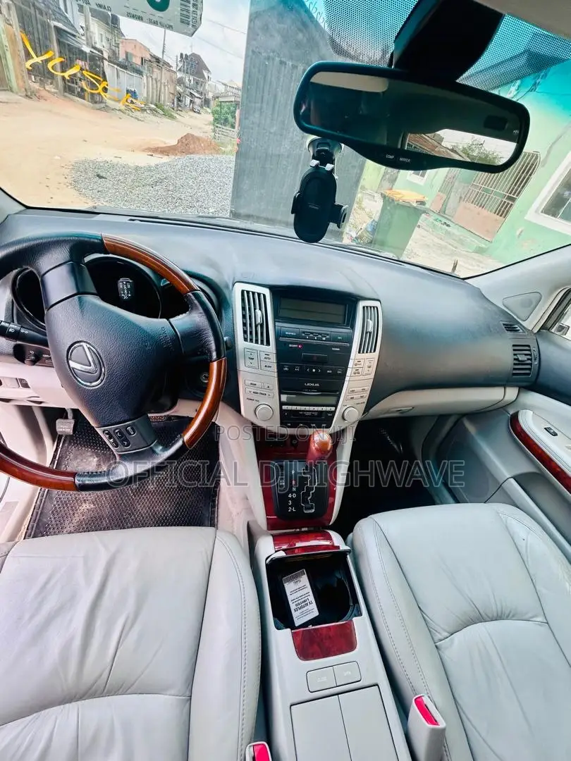 Lexus RX 300 4WD 2004 Gray