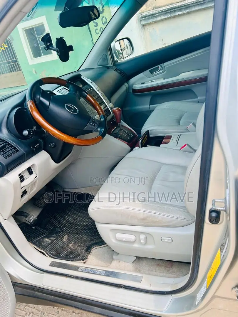 Lexus RX 300 4WD 2004 Gray