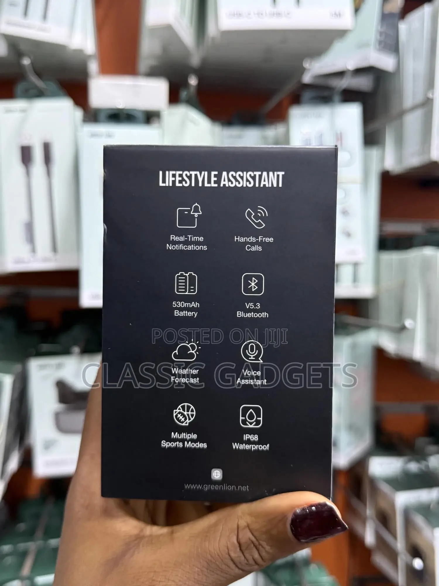Green Lion Sense Ecg Smart Watch