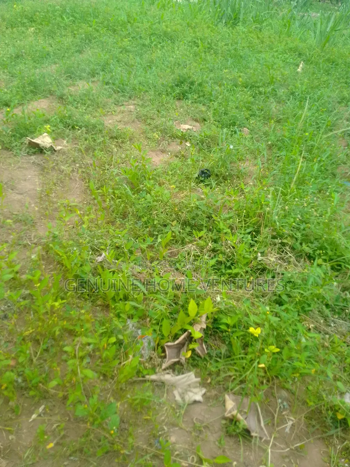 30 Acres of Land in Alagbole